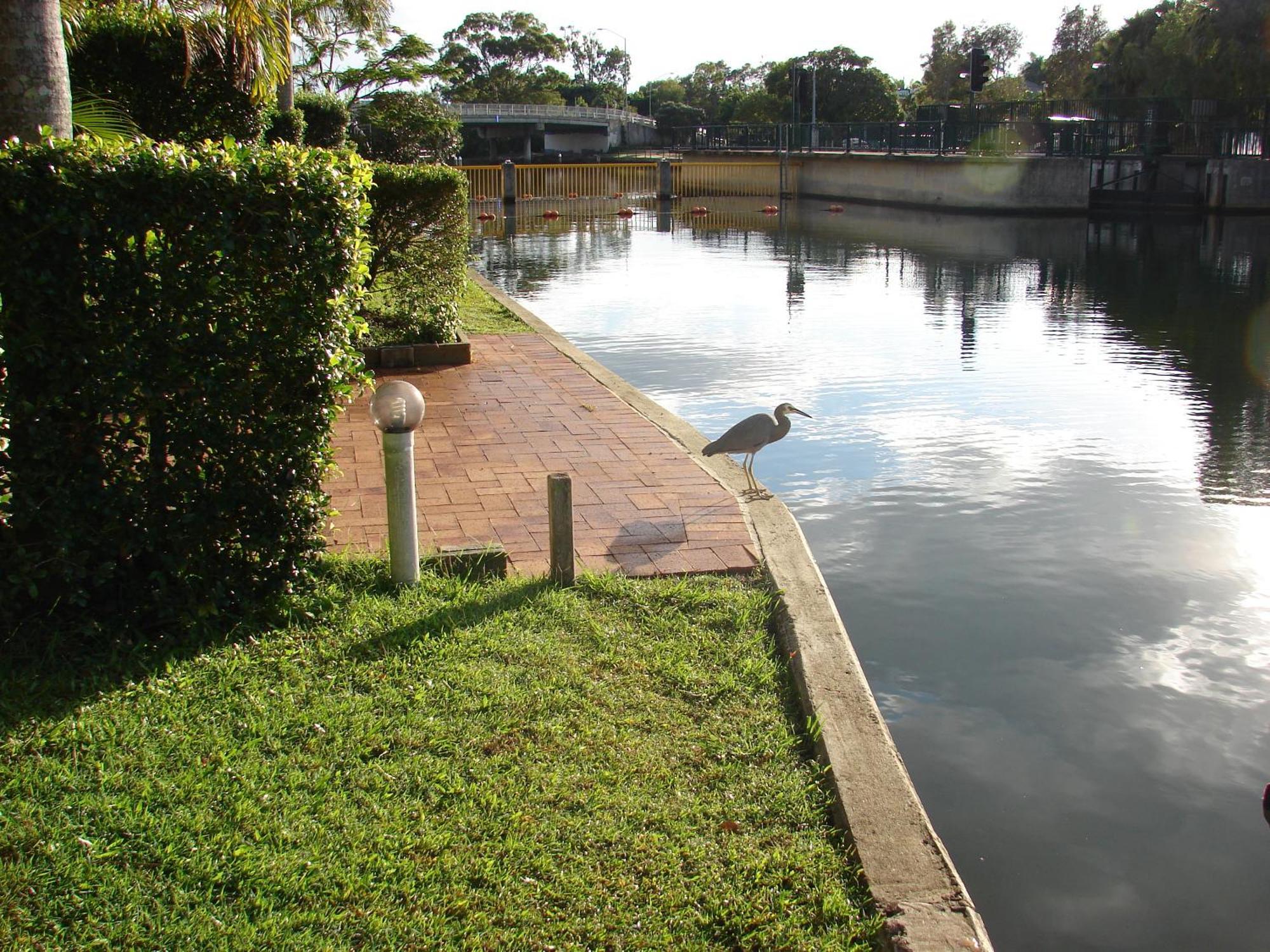 Portside Noosa Waters Hotel Noosaville Kültér fotó